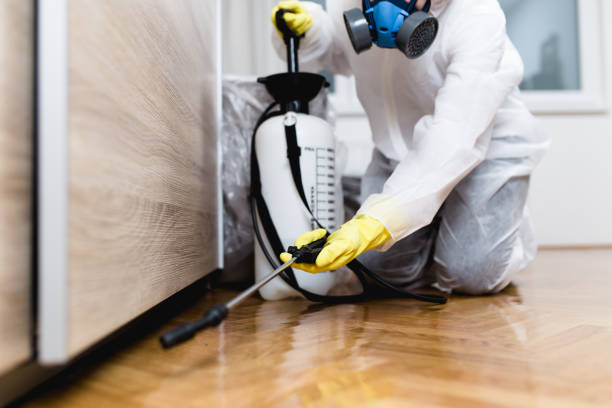 Best Best Pest Control Companies  in West Carthage, NY