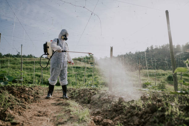 Best Pest Prevention Services  in West Carthage, NY
