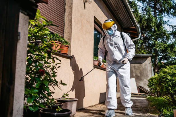 Best Best Pest Control Companies  in West Carthage, NY