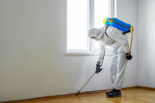 Best Wildlife Control Services  in West Carthage, NY