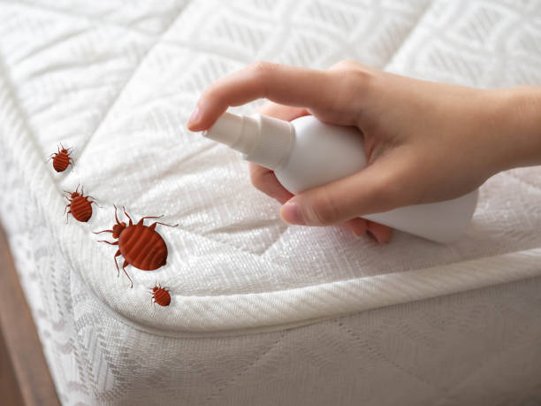 Best Pest Removal Services  in West Carthage, NY