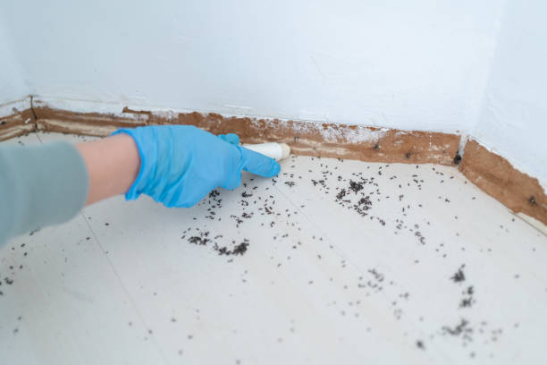 Best Best Pest Control Companies  in West Carthage, NY